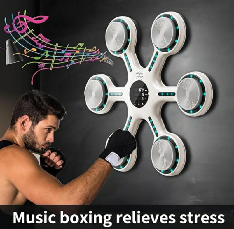 Musical Hanging Boxing Target