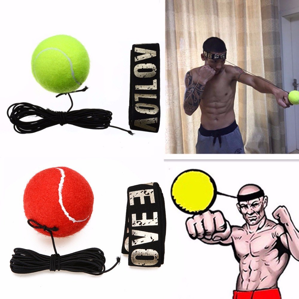 Reflex Speed Punch Ball