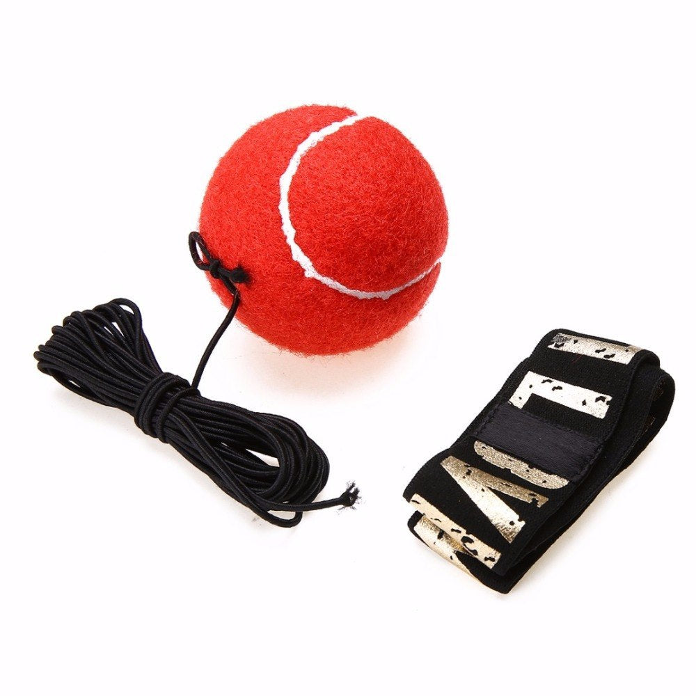 Reflex Speed Punch Ball